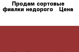 Продам сортовые фиалки недорого › Цена ­ 50 - Челябинская обл., Копейск г.  »    . Челябинская обл.,Копейск г.